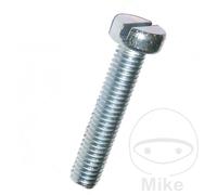 Dresselhaus Dresselhaus Vis cylindrique avec fente 4.8 M6x20 galvanisée 0400/001/51 6x20 Quantité:100