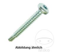 DRESSELHAUS Pack 100 vis autoperceuses 4.8 7504M TORX
