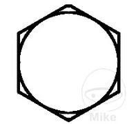 DRESSELHAUS Pack 100 vis hexagonales 6 933
