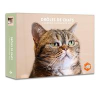 Drôles de chats - Agenda - Calendrier - Semainier 2027