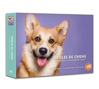Drôles de chiens - Agenda - Calendrier - Semainier 2027 - - Collectif - Hugo Image - Agenda