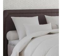 DROUAULT - Oreiller Alaska 40% Duvet 45x70 cm - Soutien Medium | Anti-acariens Proneem d'origine végétale - Enveloppe 100% Coton Sergé - Lavable 40°C