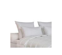 Drouault TITANIUM 50X75 70% DUVET OIE ET CANARD