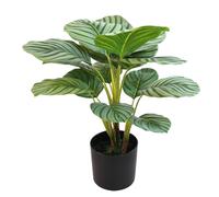 DRW Calathea Orbifolia Plante Artificielle en PU avec 4 épingles Vertes 20 x 20 x 50 cm