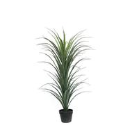 DRW Plante Artificielle d'un Dracaena avec 1 bûches en PE et PVC Vert 75 x 75 x 120 cm