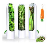 DSGDSF Lot de 3 boîtes de conservation d'herbes aromatiques pour réfrigérateur Conteneurs transparents pour coriandre, menthe, asperges