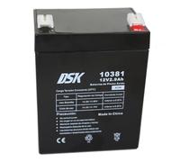 DSK Batterie AGM Plomb Étanche VRLA 12V 2,9Ah Rechargeable sans Entretien pour Alarmes, Sécurité, Jouets Électriques et UPS - Compatible bornes F1/F2