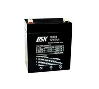 DSK Batterie AGM Plomb Étanche VRLA 12V 5Ah Rechargeable sans Entretien pour Alarmes, Sécurité, Jouets Électriques et UPS - Compatible bornes F1/F2