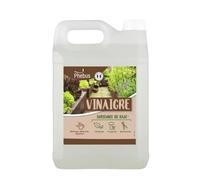 DSTOCK60-1 BIDON 5 L DESHERBANT NATUREL AU VINAIGRE BLANC (PHEBUS PRODUIT D’ORIGINE GARANTIE) HERBICIDE, FONGICIDE, BACTERICIDE - DESHERBANT JARDIN