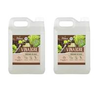 DSTOCK60-2 BIDONS 5 L DESHERBANT NATUREL AU VINAIGRE BLANC (PHEBUS PRODUIT D’ORIGINE GARANTIE) HERBICIDE, FONGICIDE, BACTERICIDE - DESHERBANT JARDIN