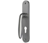 DT 2000 805371 Demi poignée de porte sur plaque aluminium poignée Aspect inox cylindre