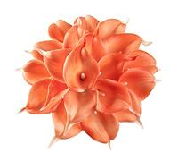 DuHouse Lot de 20 Fleurs de lys Calla artificielles en Latex au Toucher réaliste pour Bouquet de Mariage, fête, décoration d'intérieur (Corail)