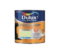 DULUX VALENTINE COLOR RESIST - Peinture intérieure murs et boiseries - 1L - vert fluorine