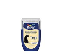 Dulux Valentine Peinture Color Resist - Murs et Boiseries - Mat - Testeur Couleur Jaune Citron 30 ml 5320755