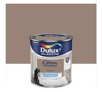 DULUX VALENTINE Peinture mur, boiserie crème de couleur DULUX VALENTINE taupe mat 0.5L G