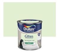Dulux Valentine Peinture mur, boiserie Crème de couleur Tendrement Vert – Satiné Monocouche 0,5 L