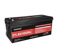 Dumfume Batterie Lithium Lifepo4 24V 100Ah - 15000 Cycles, BMS IntéGré 100A, Parfaite Pour Camping-Car, Solaire, Hors-RéSeau, Alimentation De Secours Domestique