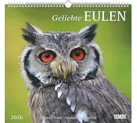 DUMONT - Chouettes bien-aimées 2026 - Calendrier Mural 38x36cm Calendrier Animaux avec 12 Motifs Hiboux pour les amoureux de la nature et des animaux : Beloved Owls - Adorables chouettes