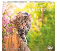 DUMONT - Tigre de maison bien-aimé 2026 - Calendrier mural 38 x 36 cm avec 12 motifs de chats, calendrier décoratif d'animaux pour les amoureux des chats : Beloved Cats - Adorables chats