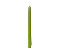 Duni Lot de 50 bougies de chandelier vert feuille
