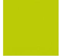 DUNI - Serviette ouate 33x33cm 3 plis x20 kiwi