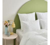 Dunlopillo - Lot de 2 Oreillers Cocoon 60 x 60 cm - Mémoire de Forme - Garnissage Synthétique 60% Flocons Mousse Viscoélastique 40% Fibre Polyester - Tissu Microfibre - Lavable à 40°C