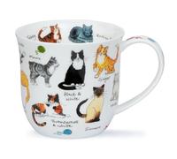 Dunoon Cumbrae Tasse en porcelaine anglaise Motif races de chats 0,45 l