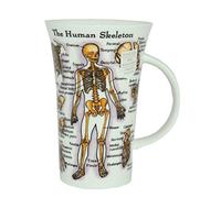 Dunoon en porcelaine en forme de tasse Glencoe - Le corps humain