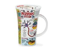Dunoon Glencoe Tasse en forme d'os Motif chiana 0,5 l