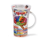 Dunoon, Tasse en porcelaine d'os, Glencoe, biologie, The Brain