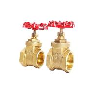 DUNSBY Valve Vanne à Guillotine en Laiton Filetage Femelle G 1/2" 3/4" 1" 1-1/2" 2" DN15 DN20 DN25 DN32 DN40 DN50 avec Volant Acier, Passage intégral(DN20)