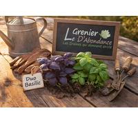 Duo graines Aromatiques à semer - Le Grenier d'Abondance - BASILIC Pourpre et Vert - mélangé à découvrir