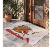 DUOTCYELE Tapis De Sol Décoratif De Bienvenue De Dessin Animé Mignon 50 x 80 cm | Tapis De Antiderapant, Paillasson Porte à Père Noël Sac Cadeau Toit pour Couloir, Salon, Entrée