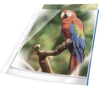 DURABLE Pochettes perforées transparentes PREMIUM A4 à bords colorés – 25 pièces – Bleu – 266506
