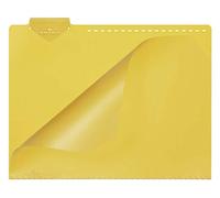 Durable 399604 Chemise pour Cartes - Guides A4 - avec Trous de Blocage - Lot de 50