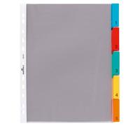 Durable 663019 Registre d'enveloppes A4 5 pièces, 1 pièce, transparent avec onglets de couleur