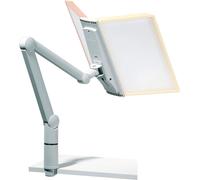 DURABLE Bras articulé SHERPA® SWING ARM TABLE MODULE 10, Gris, 563610