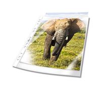 Durable Pochette perforée 60 microns A4 Transparent Lot de 100