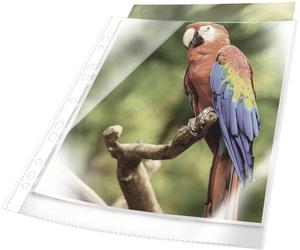 Durable Pochette PREMIUM DIN A4 polypropylène blanc (clair) 265502 25 pc(s)