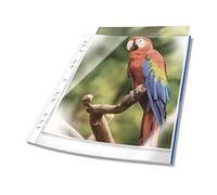 Durable Pochettes perforées Premium A4, sachet de 10, Bleu, 265406 | Pochettes plastiques à bords colorés, épaisseur 80 µm, lisibilité optimale, surface lisse ultra transparente