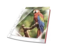 Durable Pochettes perforées Premium A4, sachet de 10, Rouge, 265403 | Pochettes plastiques à bords colorés, épaisseur 80 µm, lisibilité optimale, surface lisse ultra transparente