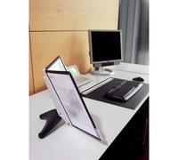 Durable Présentoir pour panneau transparent SHERPA SOHO 5 - 5540 noir DIN A4 Nombre de pochettes transparentes incluses 5