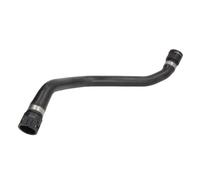 Durite de radiateur THERMOTEC DWB023TT