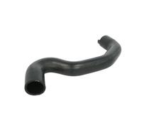 Durite de radiateur THERMOTEC DWP100TT