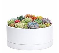D'vine Dev Pot de Fleurs Rond en Plastique Peu Profond de 25,4 cm avec Trou de Drainage et Sauce - Pot de bonsaï décoratif pour Plantes d'intérieur - Blanc, 76-Z-A-2