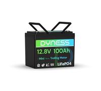 Dyness Batterie Lithium 12V 100Ah LiFePO4 Mini avec Protection 100A BMS Basse température et Max 15000 Cycles, pour Camping Car, kit Panneau Solaire, Caravane, Bateau, Marine