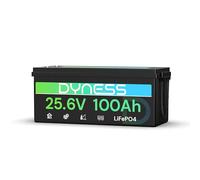 Dyness Batterie Lithium 24V 100Ah LiFePO4 avec BMS intégré 100A et Protection Basses Températures, Batterie Lithium à Décharge Lente pour Camping Car, Panneau Solaire, Bateaux Bass, Hors-Réseau