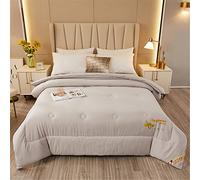 DZYP Couette en Microfibre 4 Saisons, Doux Confort Chaude Edredon, Hypoallergénique Anti Acariens Édredon Duvet Hiver Couverture (Gris,220x240cm(3kg))