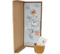 e-Flora - Graines - Vous valez de l'or - souci - Cultivez Vos Propres Fleurs