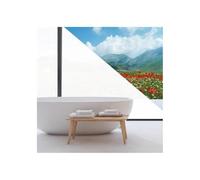 Easy PROTEC Film adhésif Permanent pour vitrage Dépoli Blanc Anti Regard 100 x 90 cm
